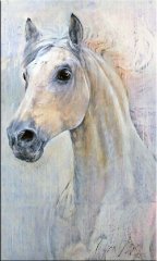 STALLION